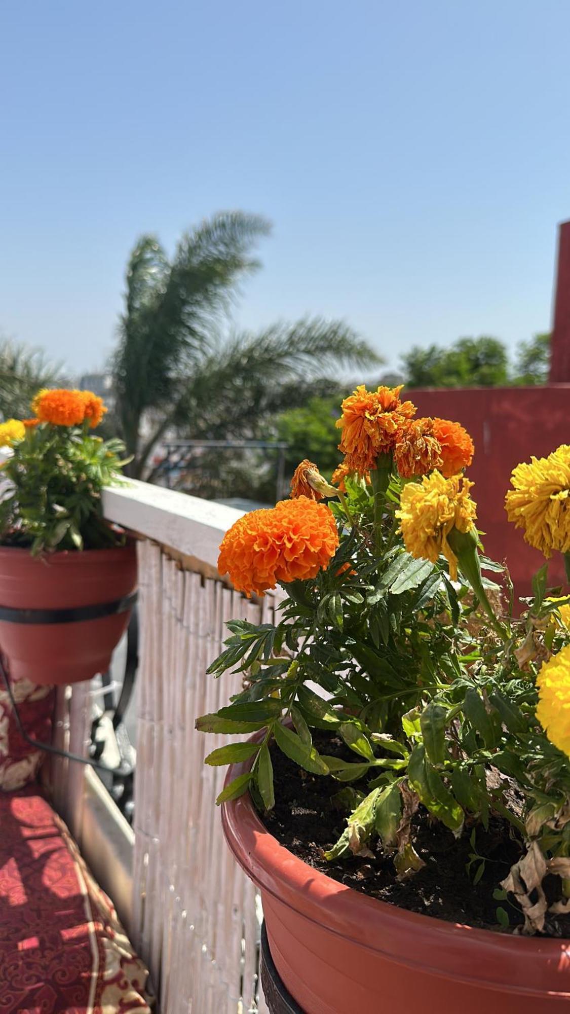 House With Sea View In Kasbah Villa Tanca Dış mekan fotoğraf